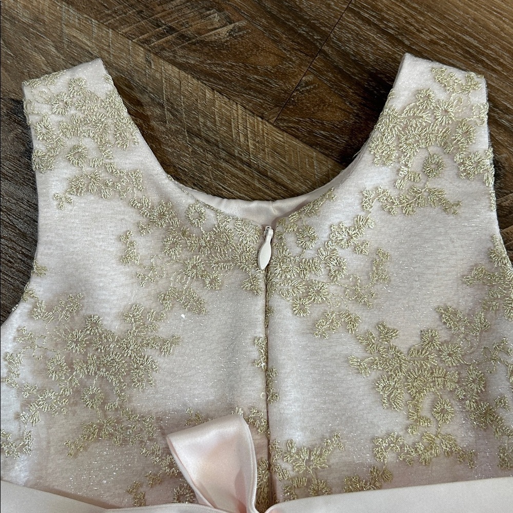 American Princess Girls Toddler Dress Beautiful Fancy Light Pink, Gold, & White - Picture 11 of 13